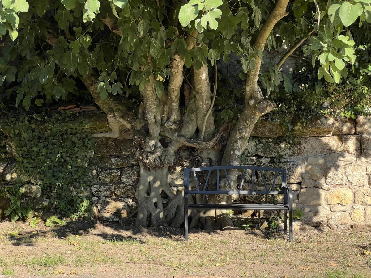 Gite Avec Piscine, Chateau De Lescours, St-Emilion Saint-Sulpice-de-Faleyrens Εξωτερικό φωτογραφία